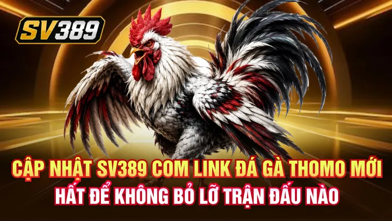 SV389 Com Link Đá Gà Uy Tín 2026 | Truy Cập Cực Nhanh 1 Cập nhật SV389 com link đá gà Thomo mới nhất để không bỏ lỡ trận đấu nào