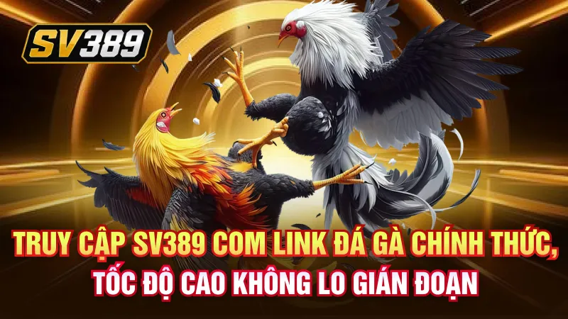 SV389 Đá Gà – Lửa Trường Gà Bùng Nổ Qua Từng Hiệp Đấu 2 Truy cập SV389 com link đá gà chính thức, tốc độ cao không lo gián đoạn